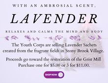 Load image into Gallery viewer, Lavender Sachets, Two for $5.00